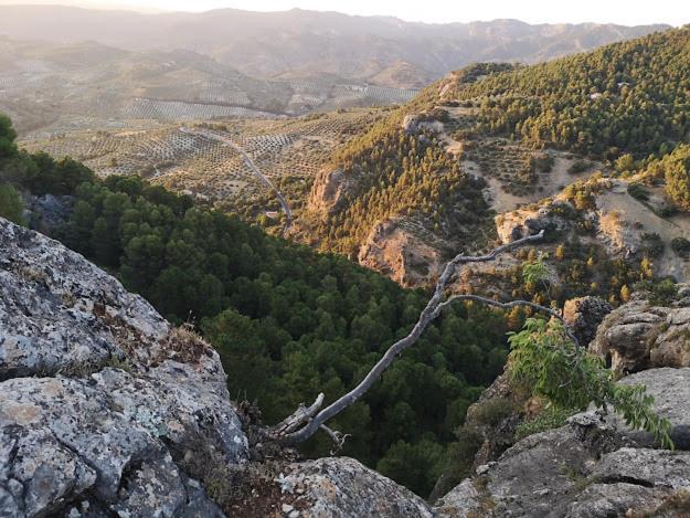 Вилла Vista Mora Sierra Cazorla Ла-Ируэла Экстерьер фото